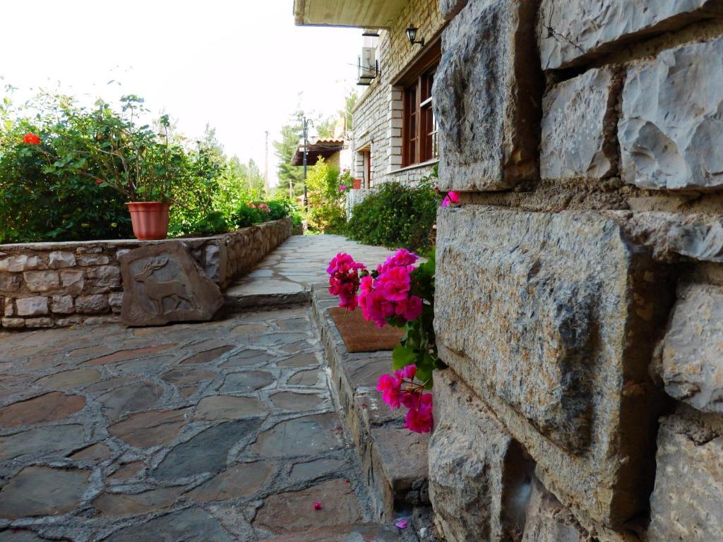 Konitsa Panorama Hotel Exterior photo